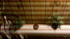 2010-11-25_10-40-21_356.jpg 2010-11-25_10-40-21_356.jpg