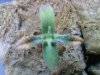 20110115052821.jpg