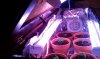 IMAG0141.jpg
