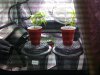 Day Ten Of Veg (granddaddy & trainwreck).jpg