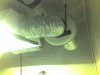 img071.jpg