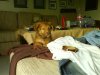 DSC00828.jpg