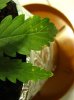 Australia 2008 229.jpg