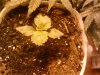 2011-01-17_10.28.06.jpg