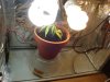 DSC00885.jpg