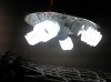 2011-01-18_00-06-18_521.jpg