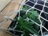 2011-01-18_00-05-35_402.jpg