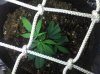 2011-01-18_00-05-54_543.jpg