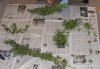 DSCF0737.jpg