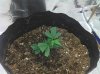 2011-01-12_14-14-02_575.jpg