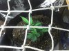 2011-01-18_11-06-50_459.jpg