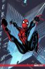 SpectacularSpiderGirl.jpg