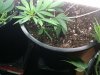 g13 update.jpg