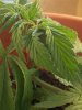 2011_01_18_c1_002.jpg 2011_01_18_c1_002.jpg