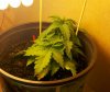 2011_01_18_b1_001.jpg 2011_01_18_b1_001.jpg