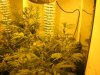 20Days12-12 004.jpg