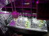 100_1106.jpg