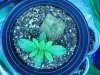 GrowSetup 04.jpg