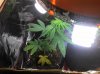 2011-01-16_20-25-49_20.jpg
