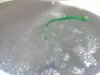 bubbl1waters.jpg bubbl1waters.jpg