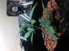 2011-01-22_18-32-37_645.jpg