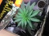 2011-01-22_18-34-09_498.jpg