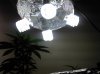 2011-01-22_18-33-45_943.jpg