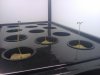 2011-01-21 10.39.13.jpg