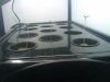 2011-01-22 10.33.17.jpg