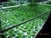 DIY flood and Drain table 032.jpg