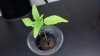 2011-01-24_14-48-16_451.jpg