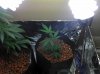 2011-01-24_14-17-47_471.jpg