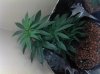 2011-01-24_14-17-57_159.jpg