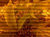 2011-01-24_19-14-52_715.jpg
