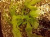 2011-01-24_19-14-14_731.jpg