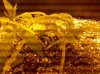 2011-01-24_19-15-38_647.jpg