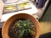 DSCN0541.jpg