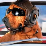 laservet