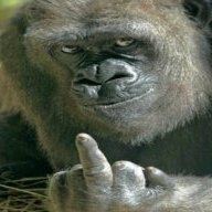 CC Silverback
