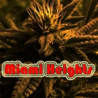 Miami Heights