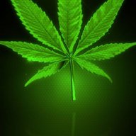 Coco_kushman