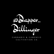 Dapper_Dillinger