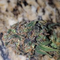 FloridaCoCoCannabis