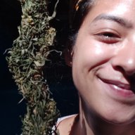 Kushogkush420