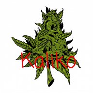 Kaliko