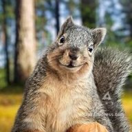 GoodoldSlapNuts