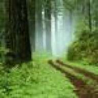 Green36