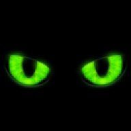 Foofi the Cat
