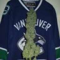 Triple6smoker