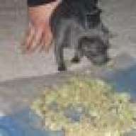 Spearo